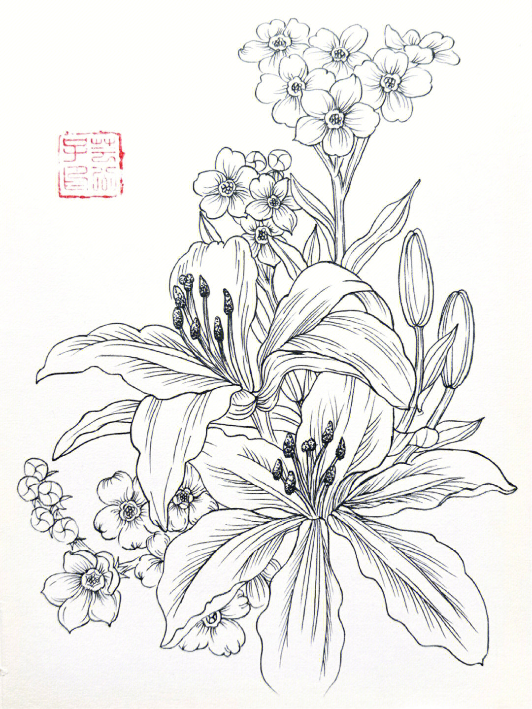 手绘教程针管笔画白描花卉每日一画