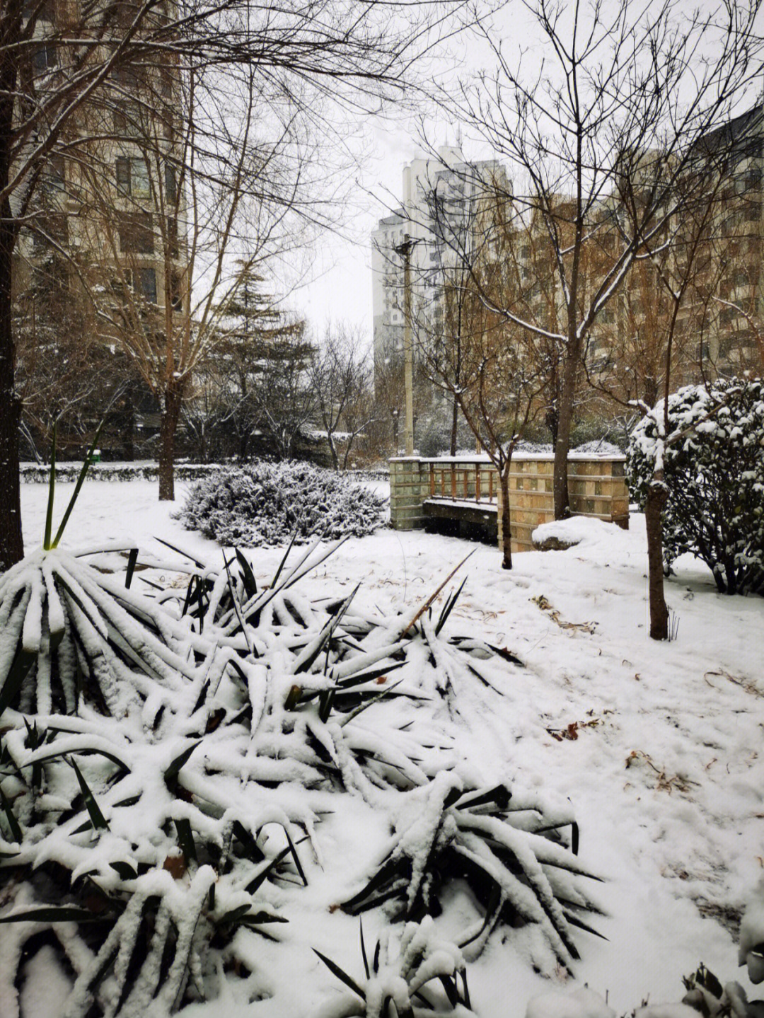 北京下雪了