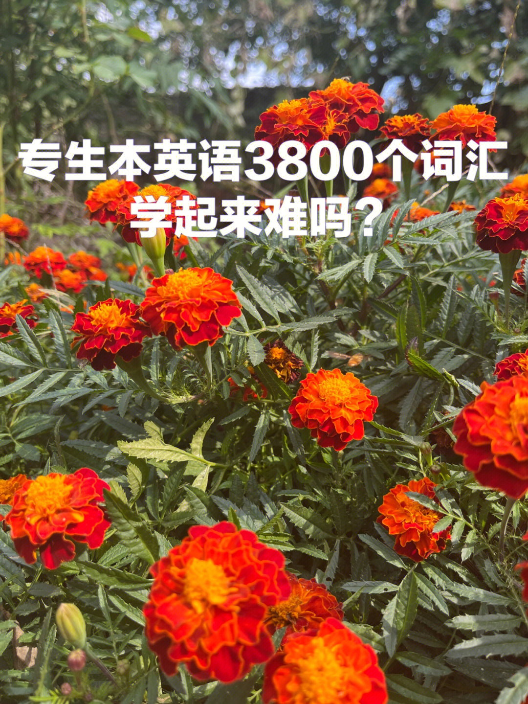 2014 考研數(shù)學題型集粹與水平測試理工類 pdf_英語考研翻譯題型_考研英語題型