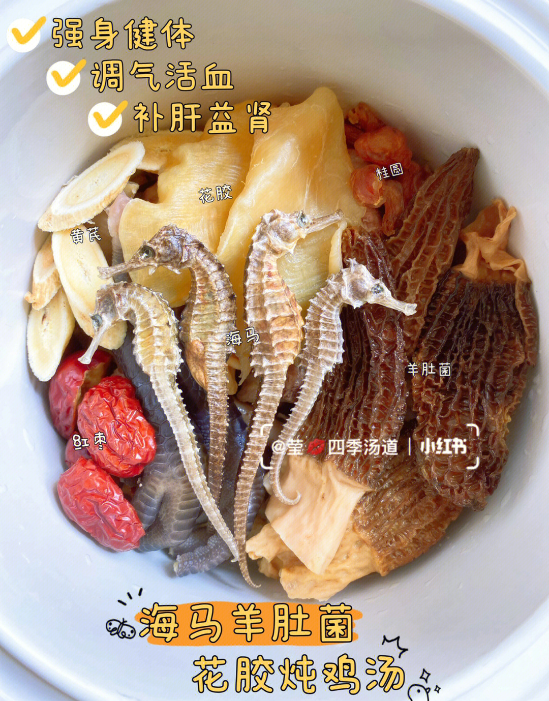 海马炖汤食谱煲汤图片