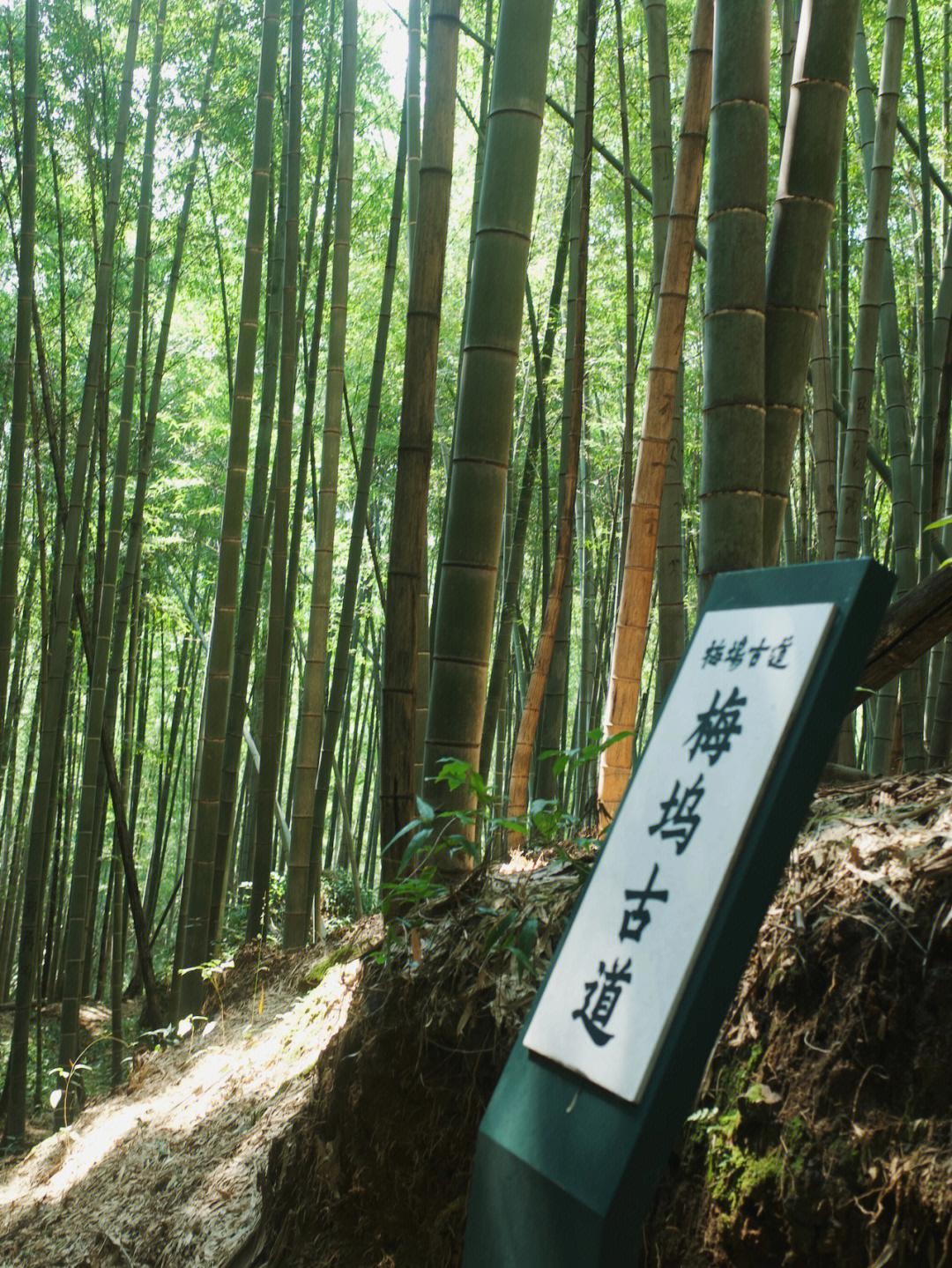 上化山古道图片