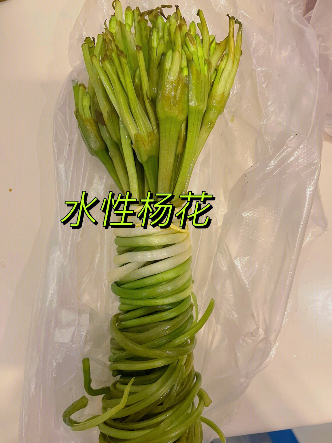 海菜花养殖图片