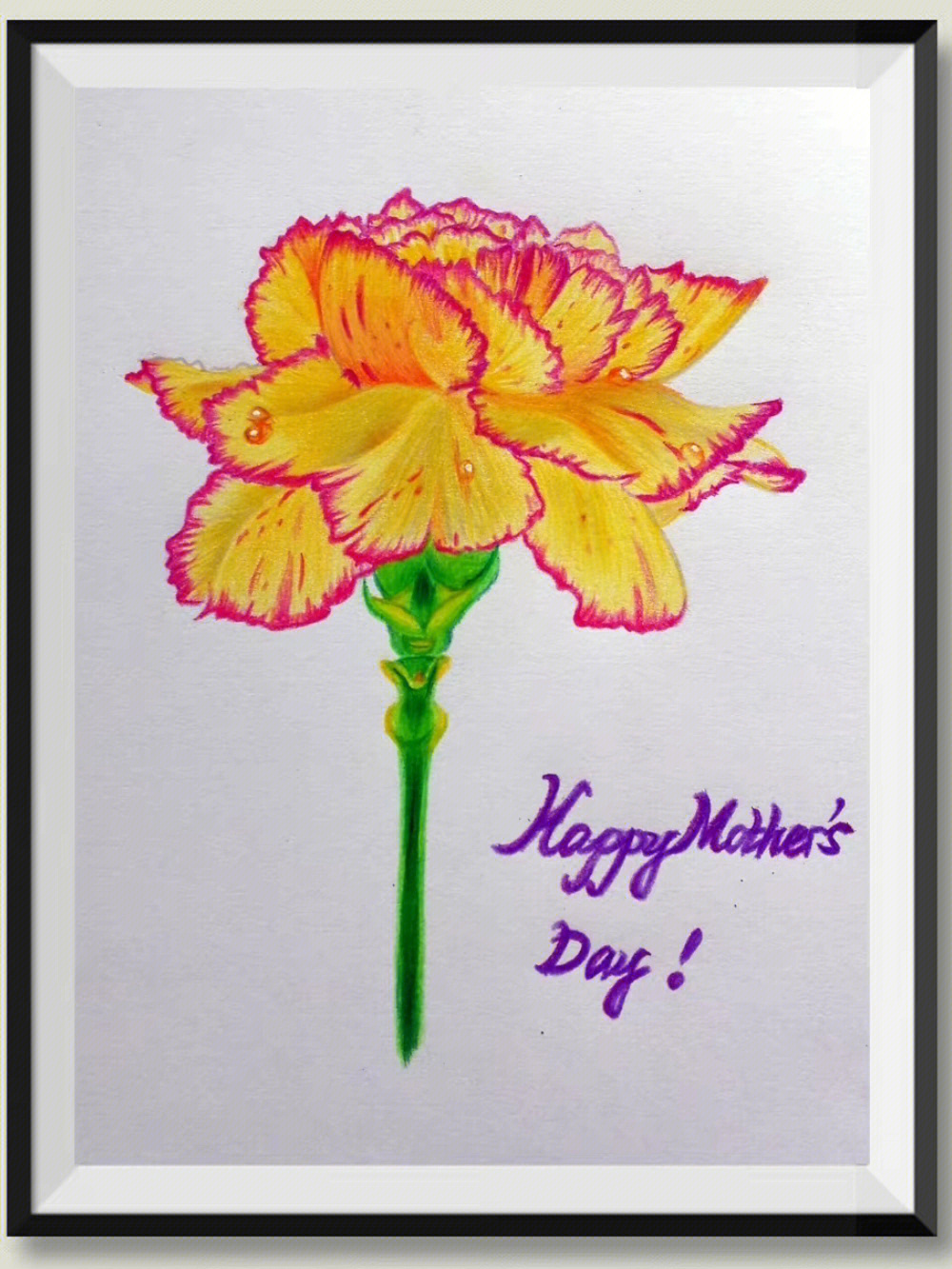 母亲节康乃馨彩铅手绘教程