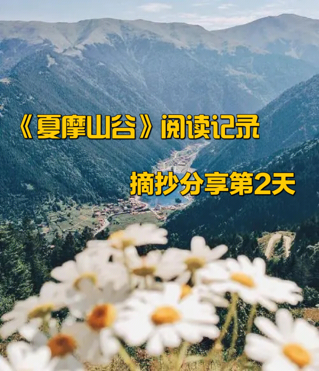 夏摩山谷封面图片