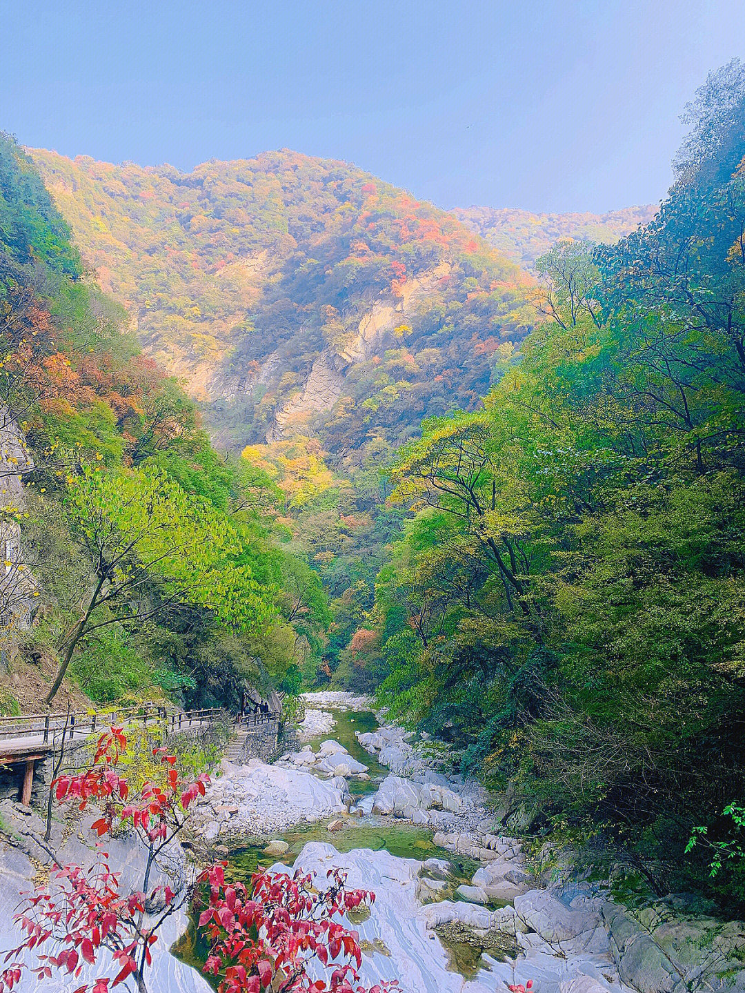 太平国家森林公园图片