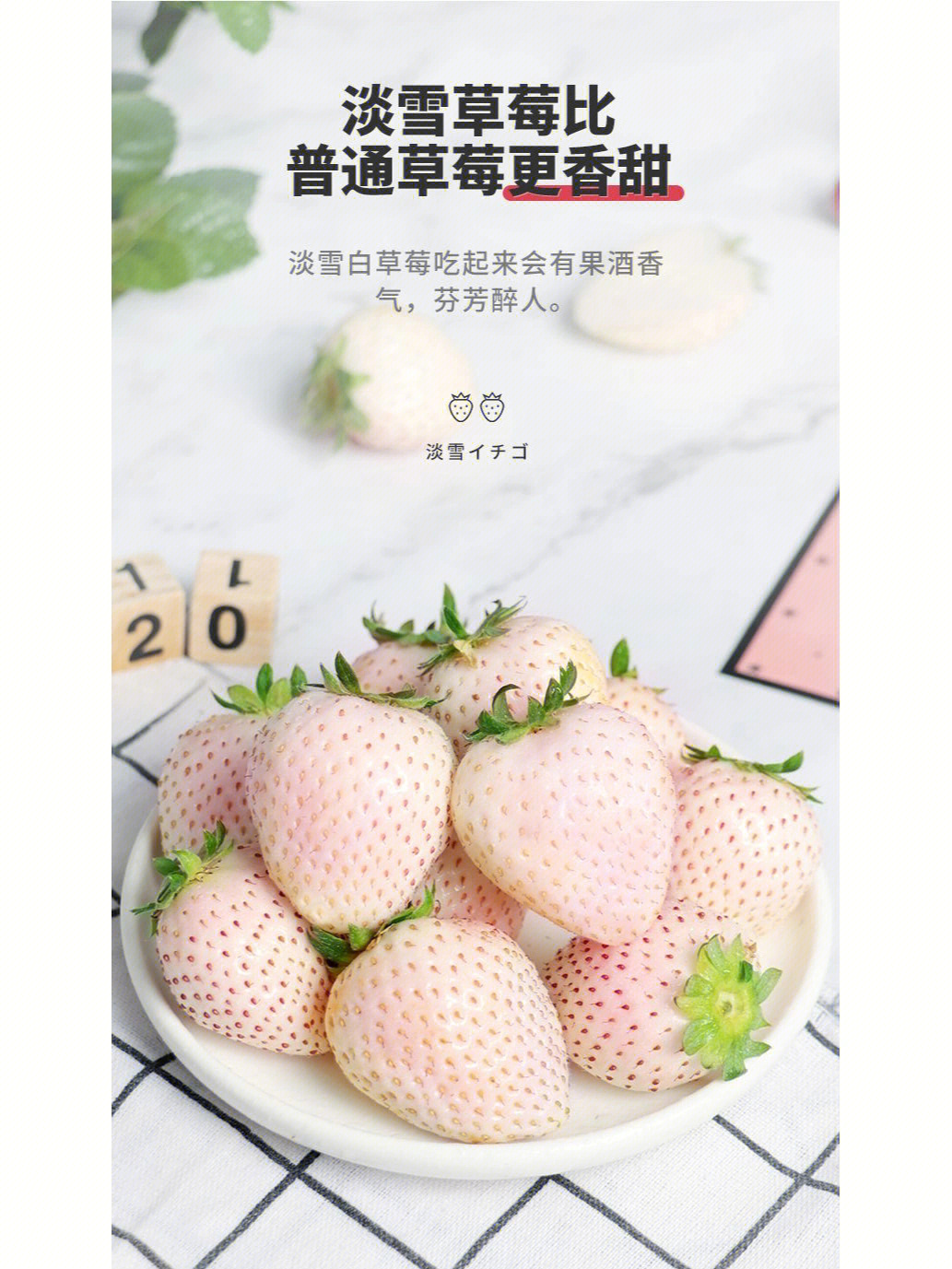 日本淡雪草莓简介图片