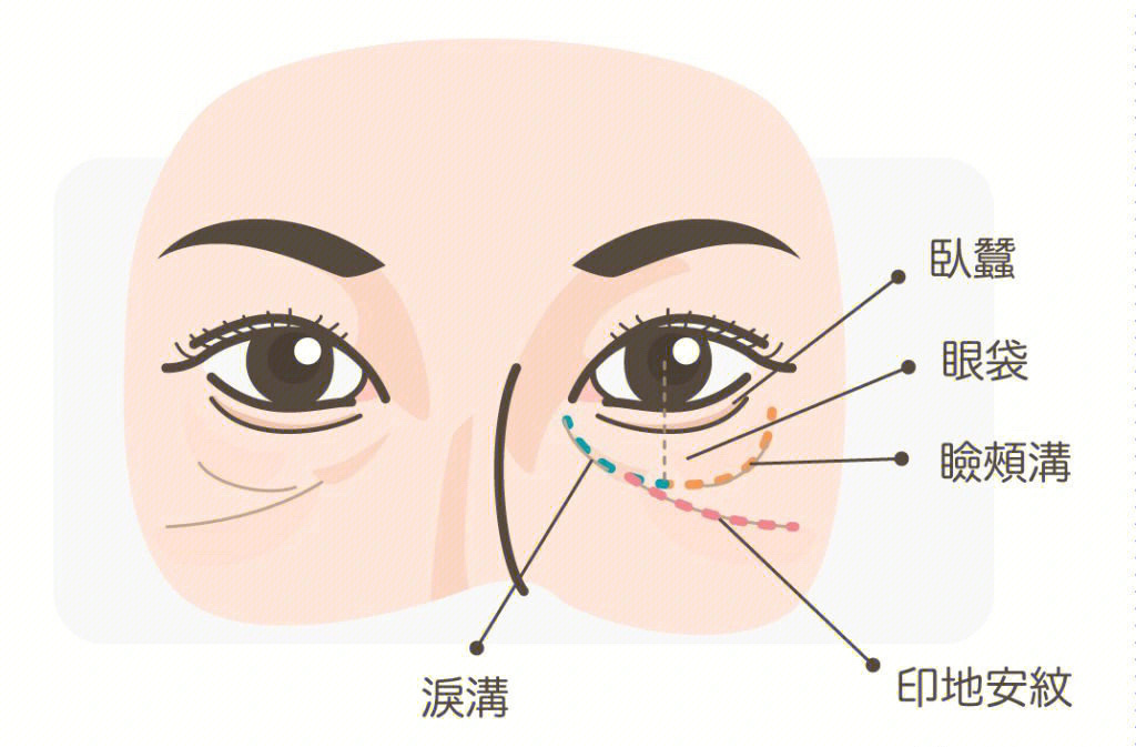 眼睛周围图解图片