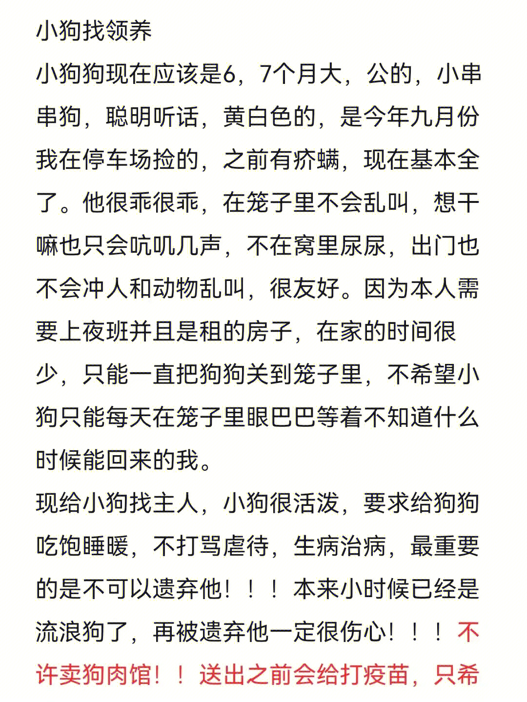 7个月小狗狗急找领养,小串串狗,流浪的狗狗现在病已经治好了