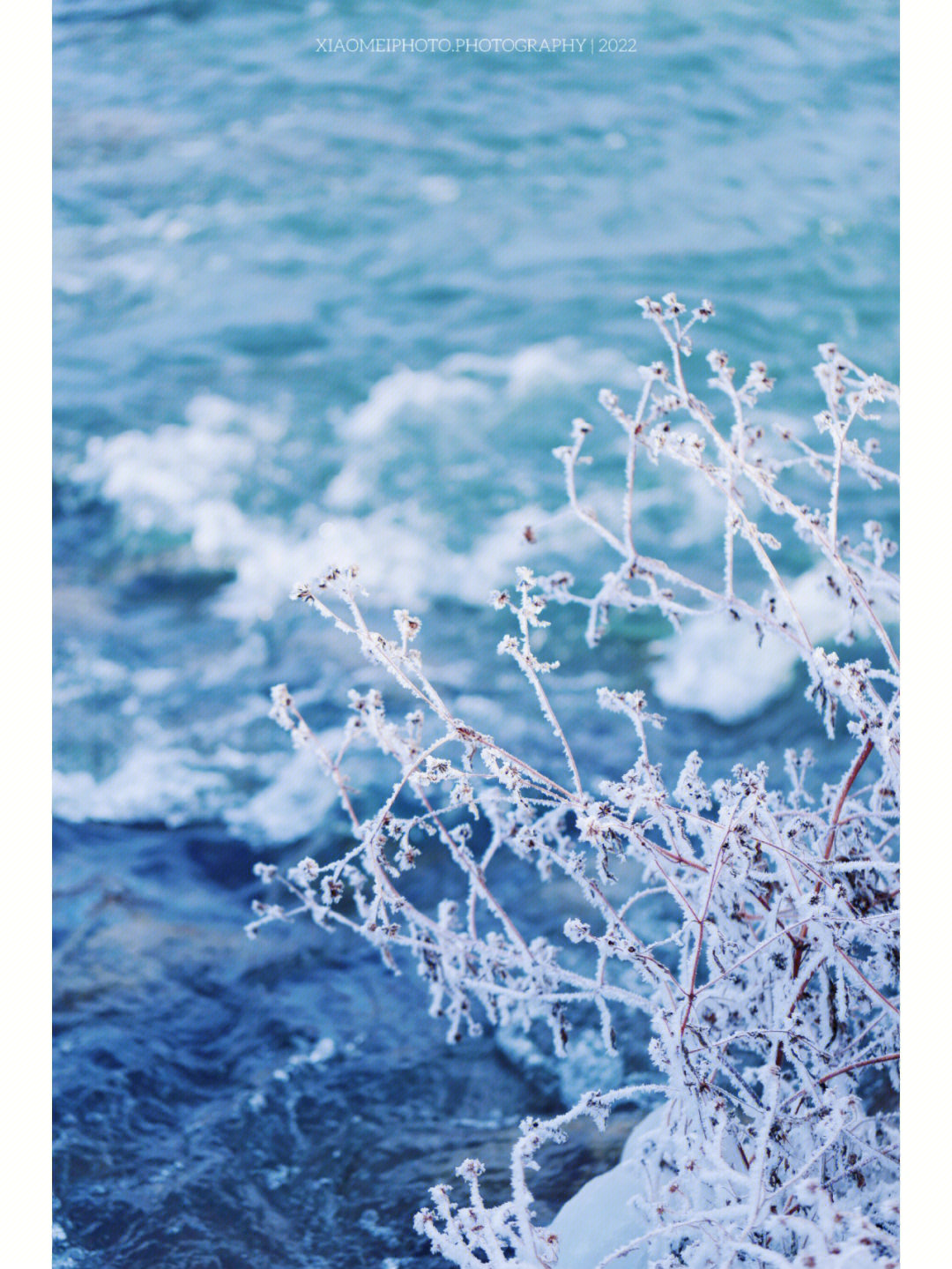 冬日霜花这不是雪是霜花儿