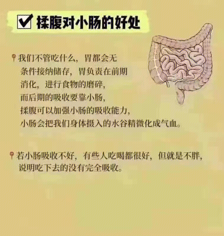 揉腹的功效与作用图片