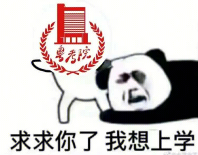 广东省专科计算机专业怎么选