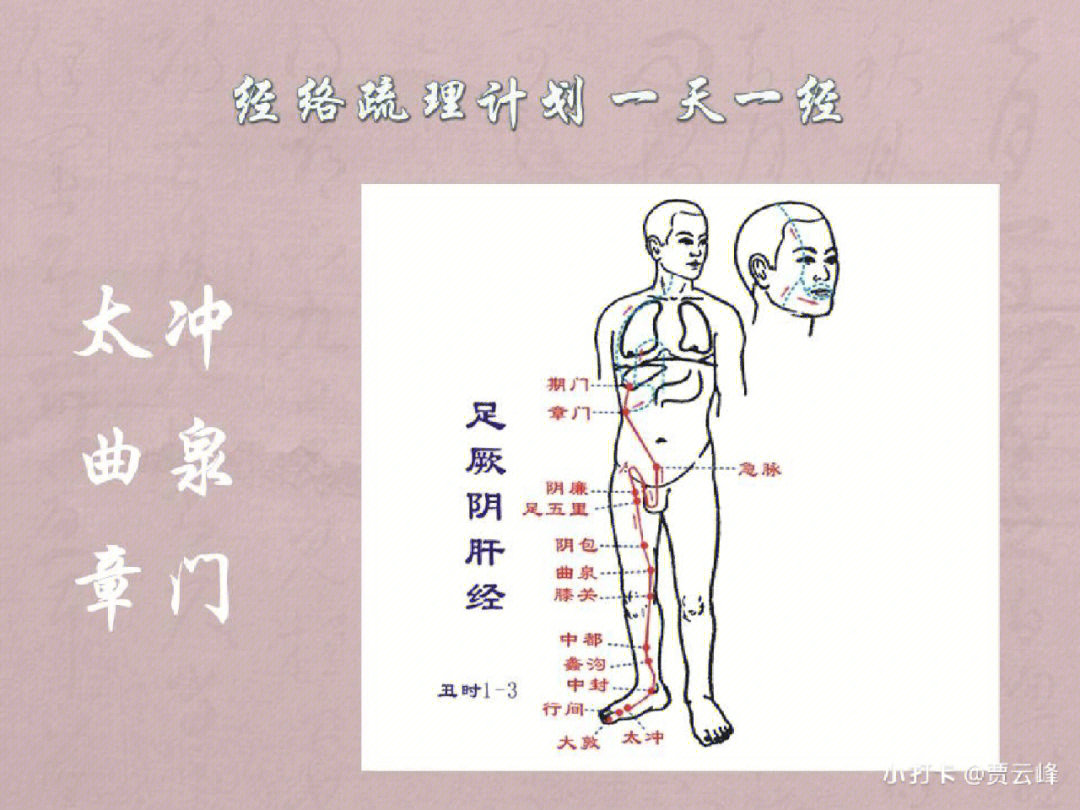 人体十二条正经,加上奇经八脉,几百个穴位名字,初学者会感到很难