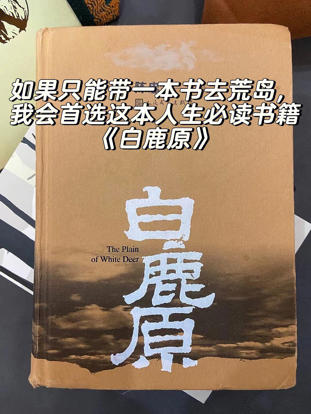 如果只能带一本书去荒岛,我会首选《白鹿原》