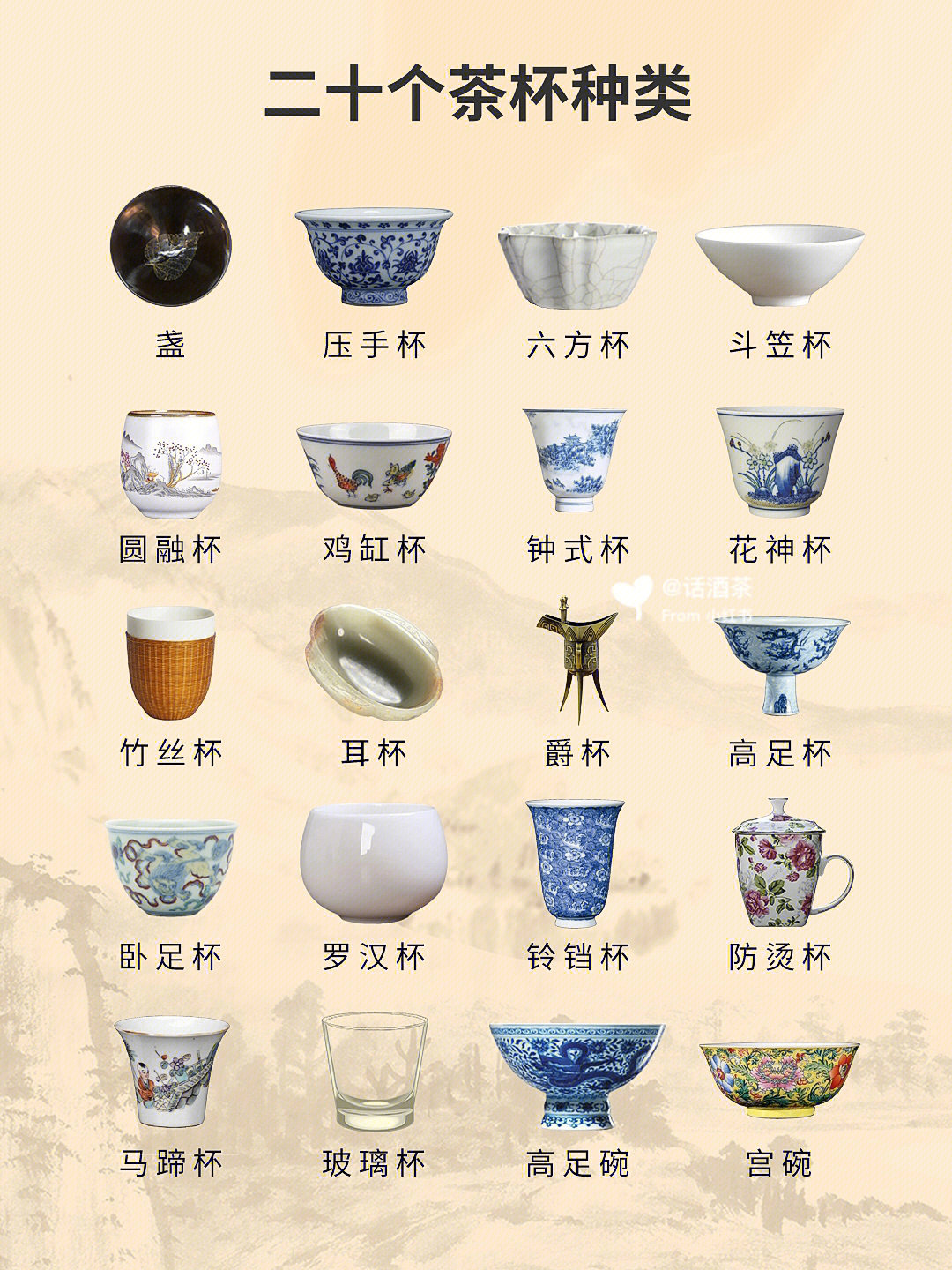 茶杯杯型种类图片