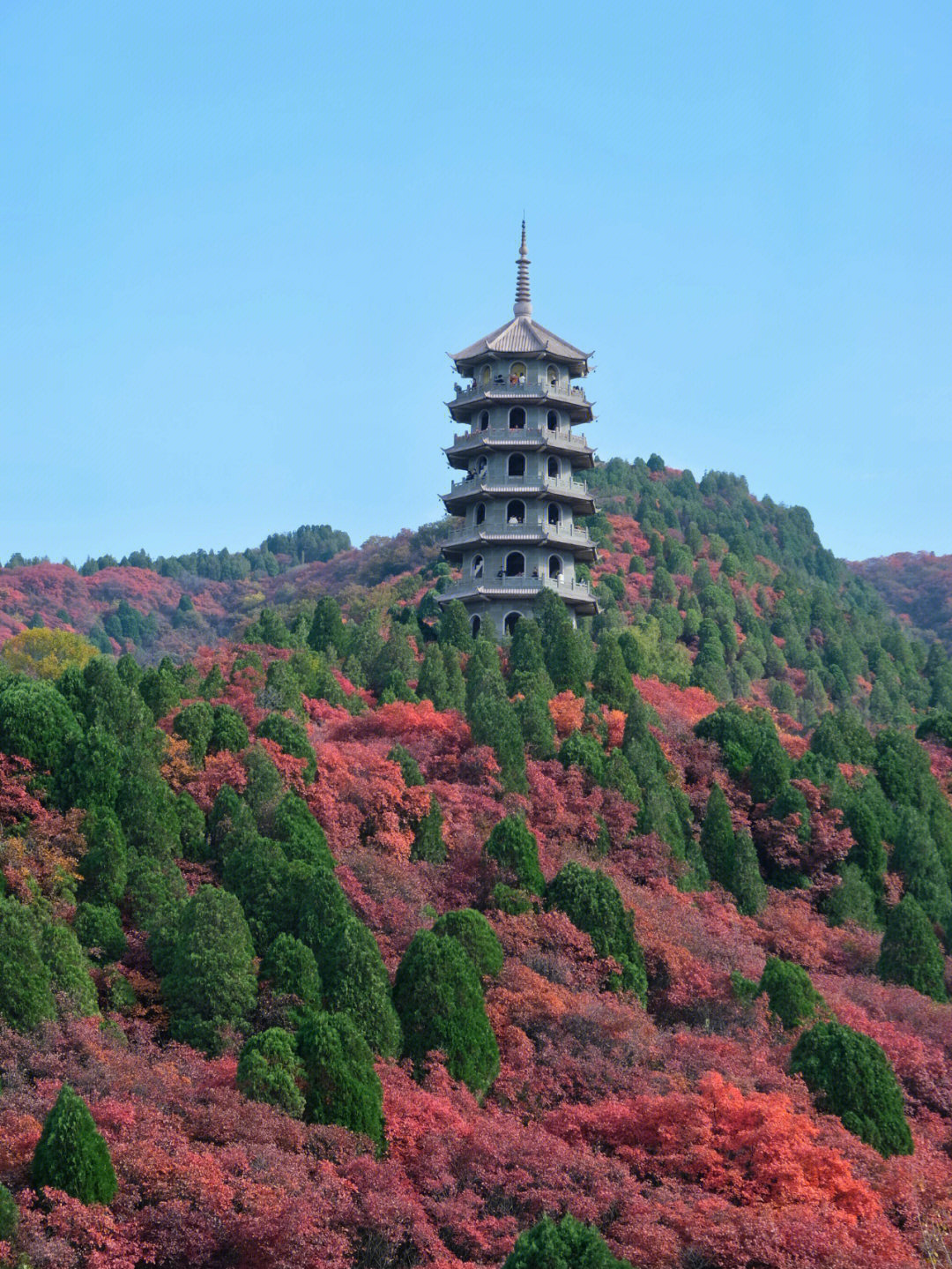 济南红叶谷位置图片