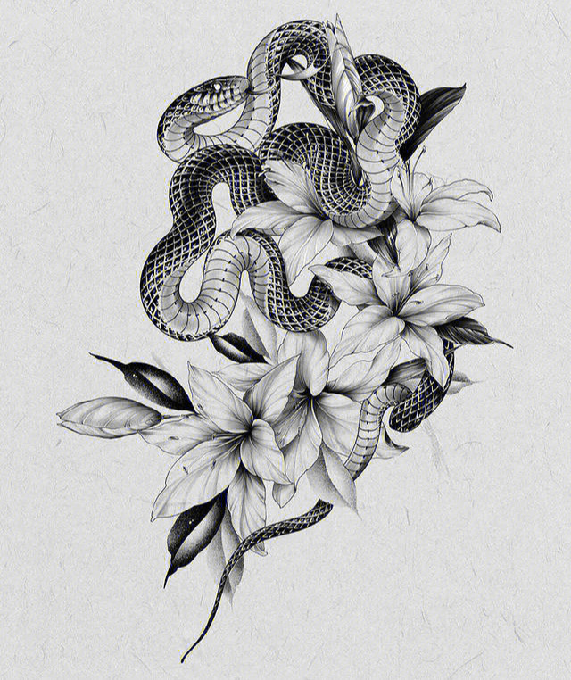 纹身蛇草图图片