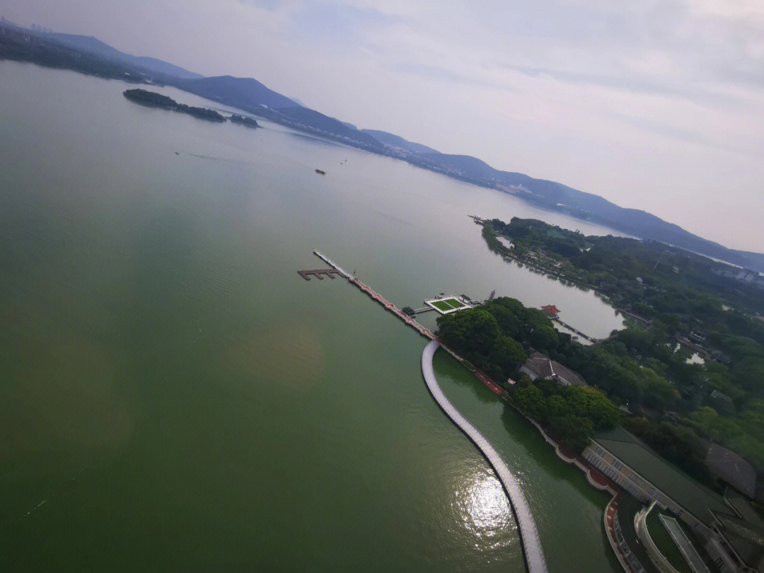 太湖之星黄酒图片