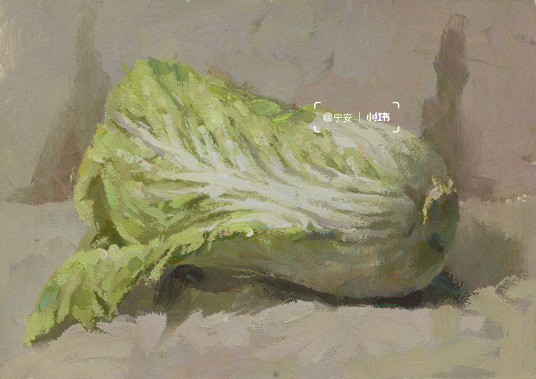 静物水粉大白菜的画法图片