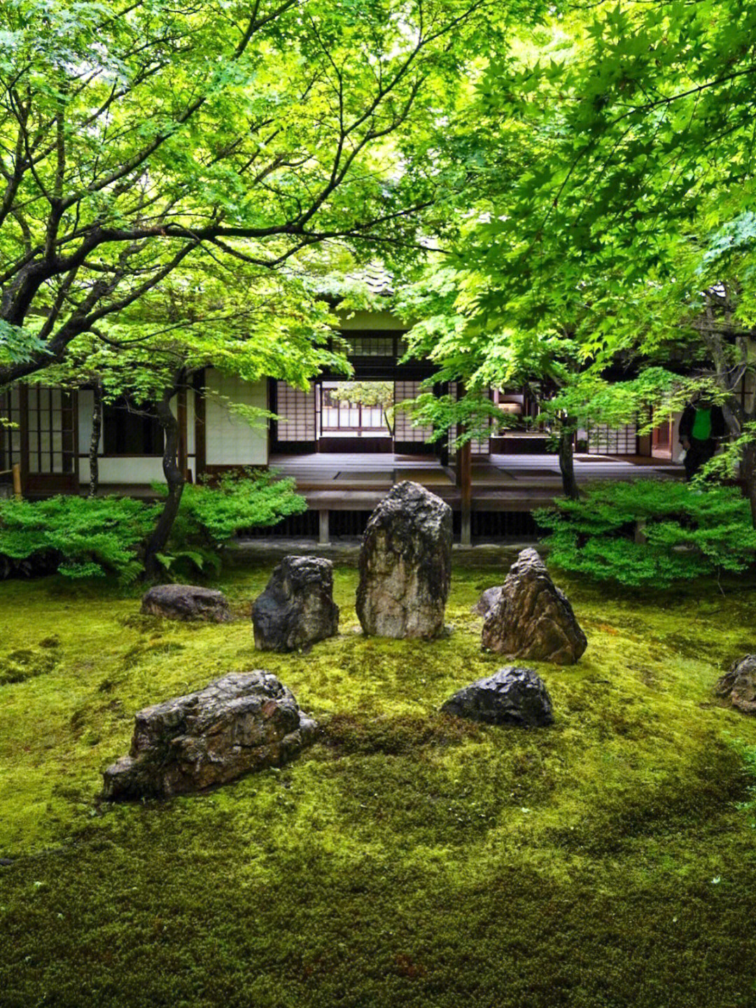 京都の夏来感受这绿意盎然的和风庭院吧