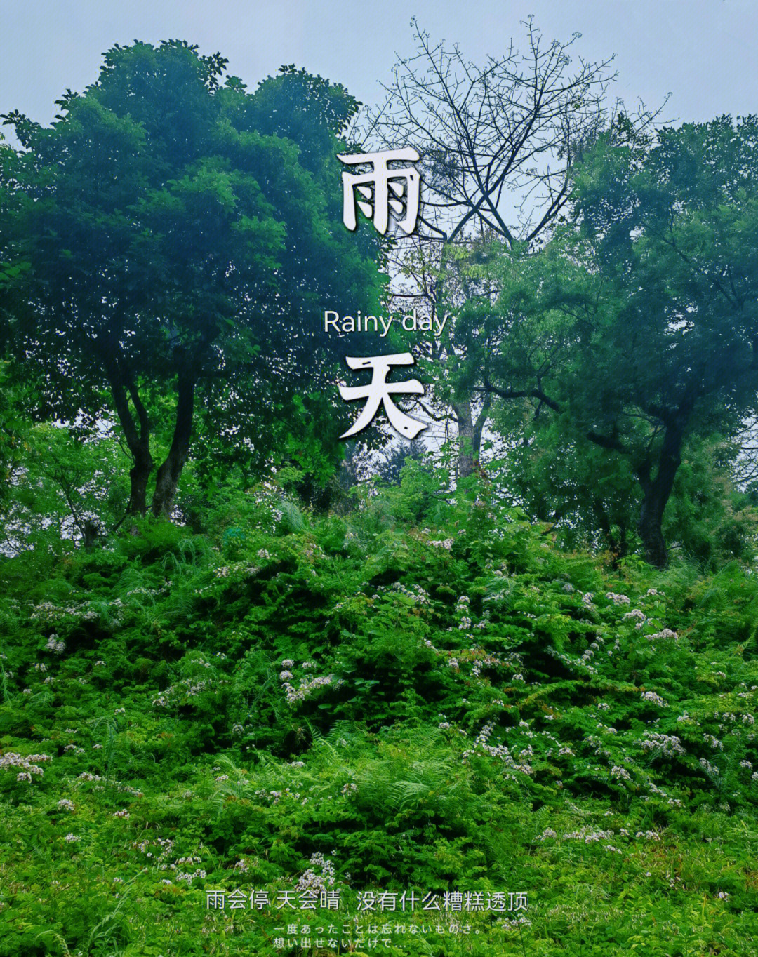 微雨细雨图片