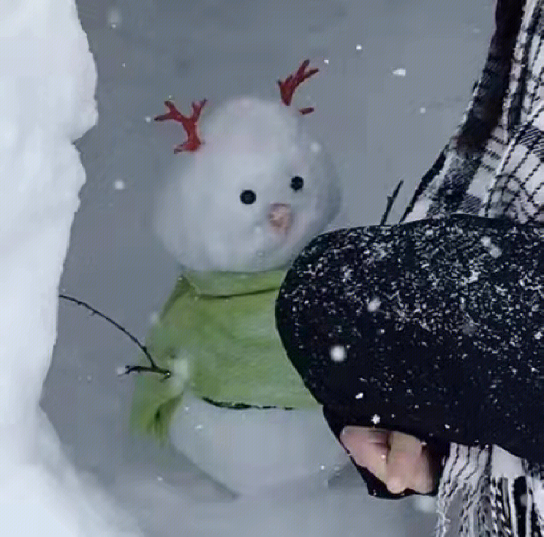 雪人骑士表情包图片