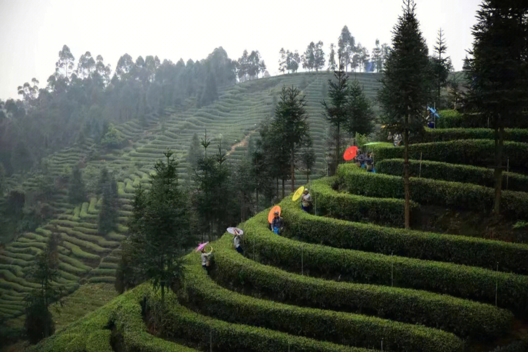 牛碾坪风景区图片