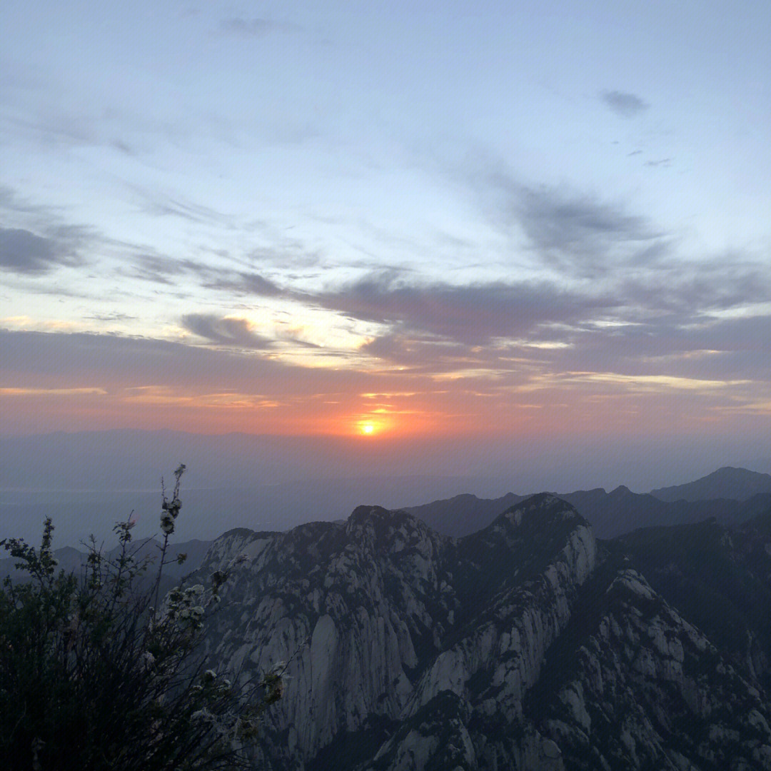 6月华山免票啦