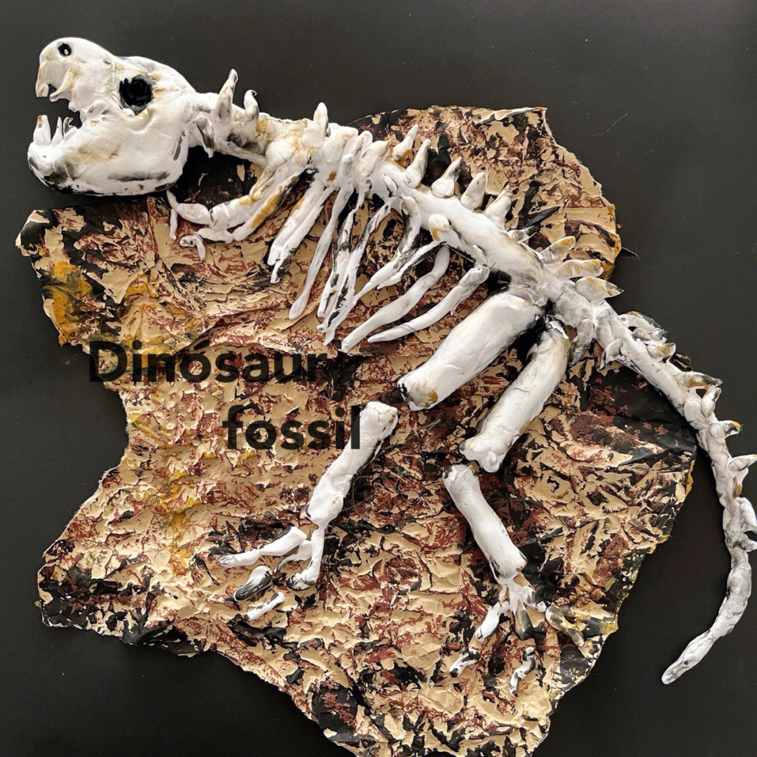 板龙化石图片