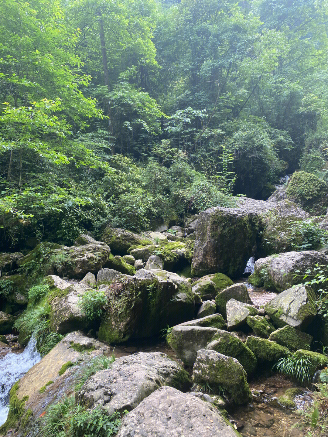 青城山云雾山庄图片