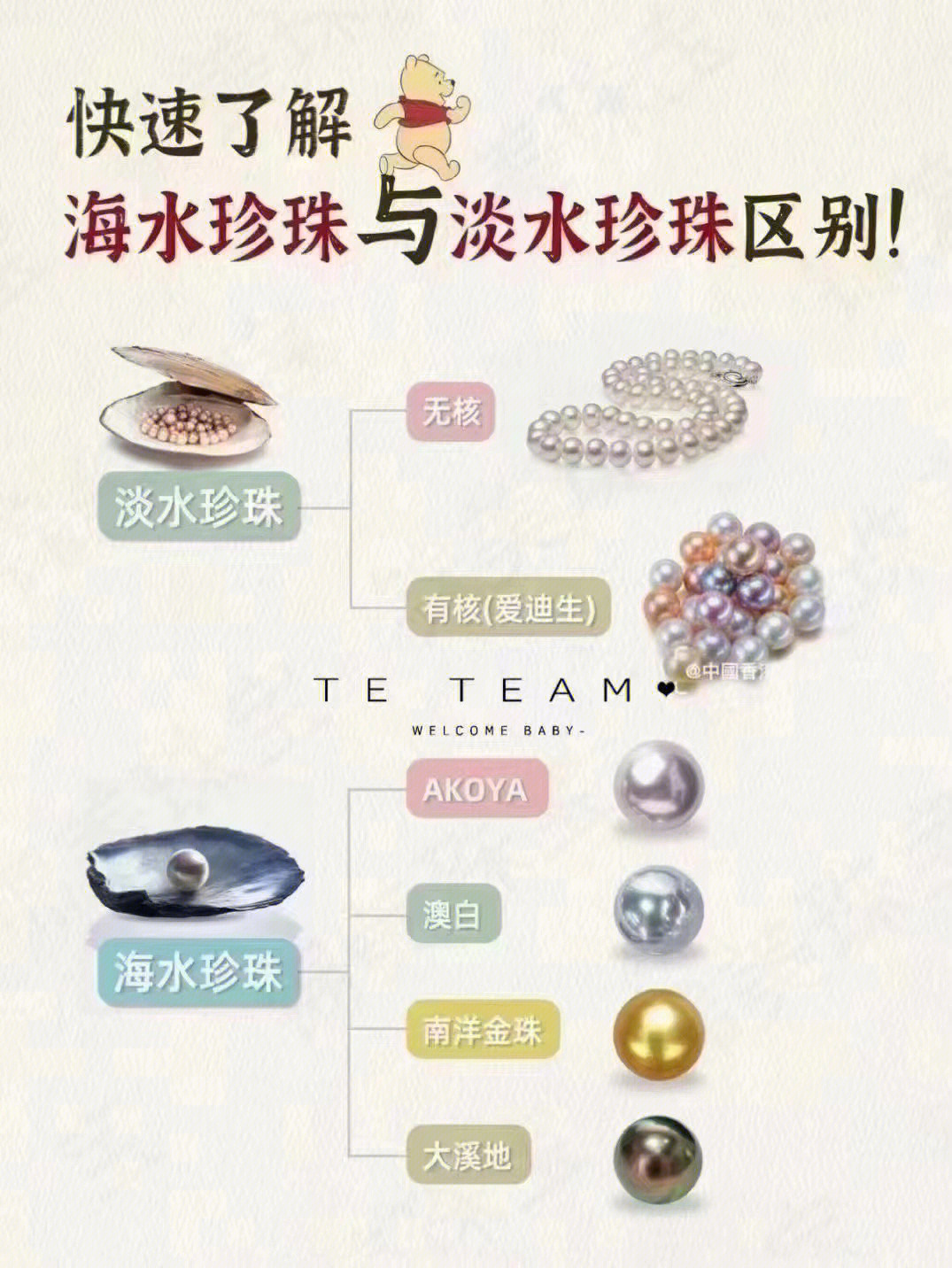 珍珠科普小知识