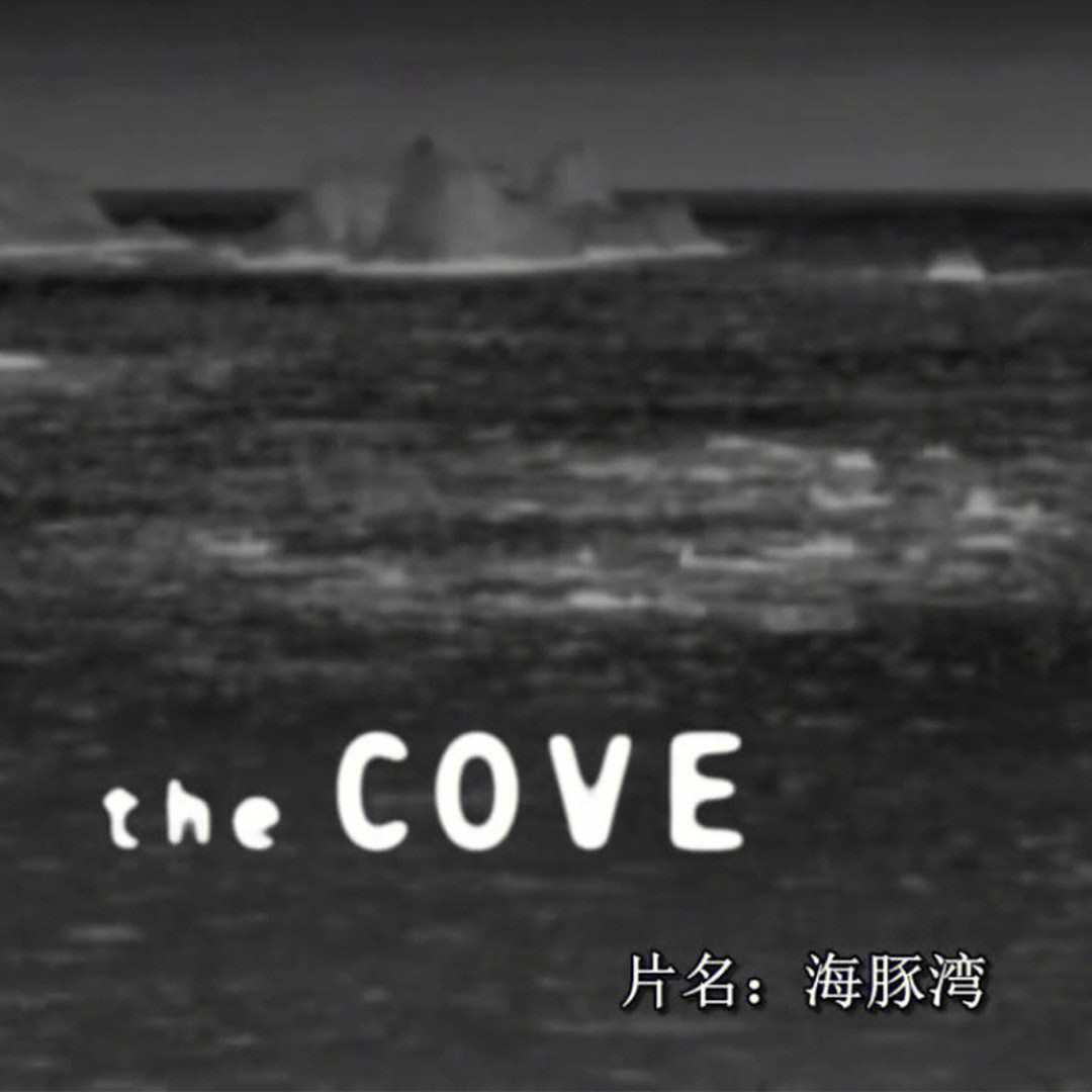 海豚湾纪录片完整版图片