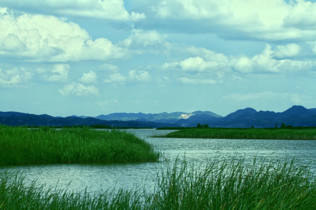 贵州省威宁草海风景图片