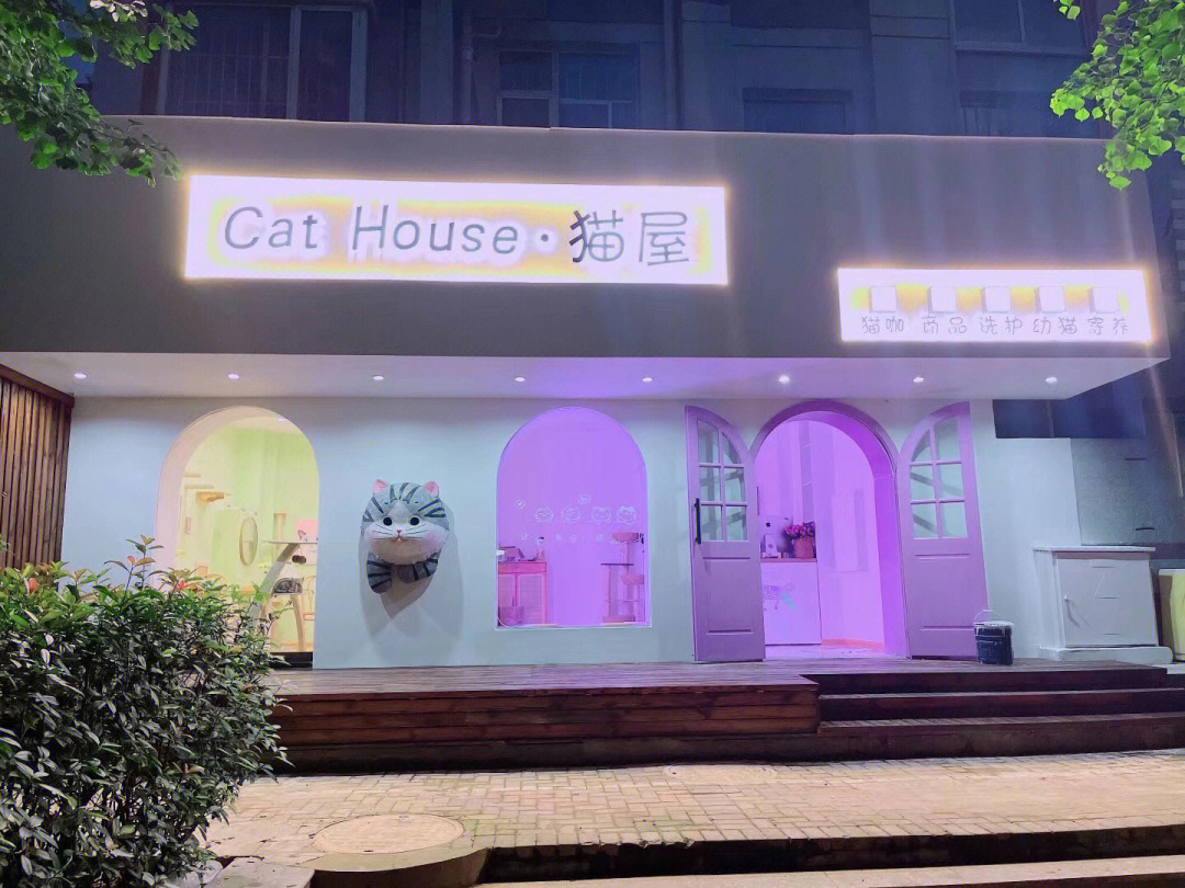 蚌埠探店cathouse猫屋猫咖