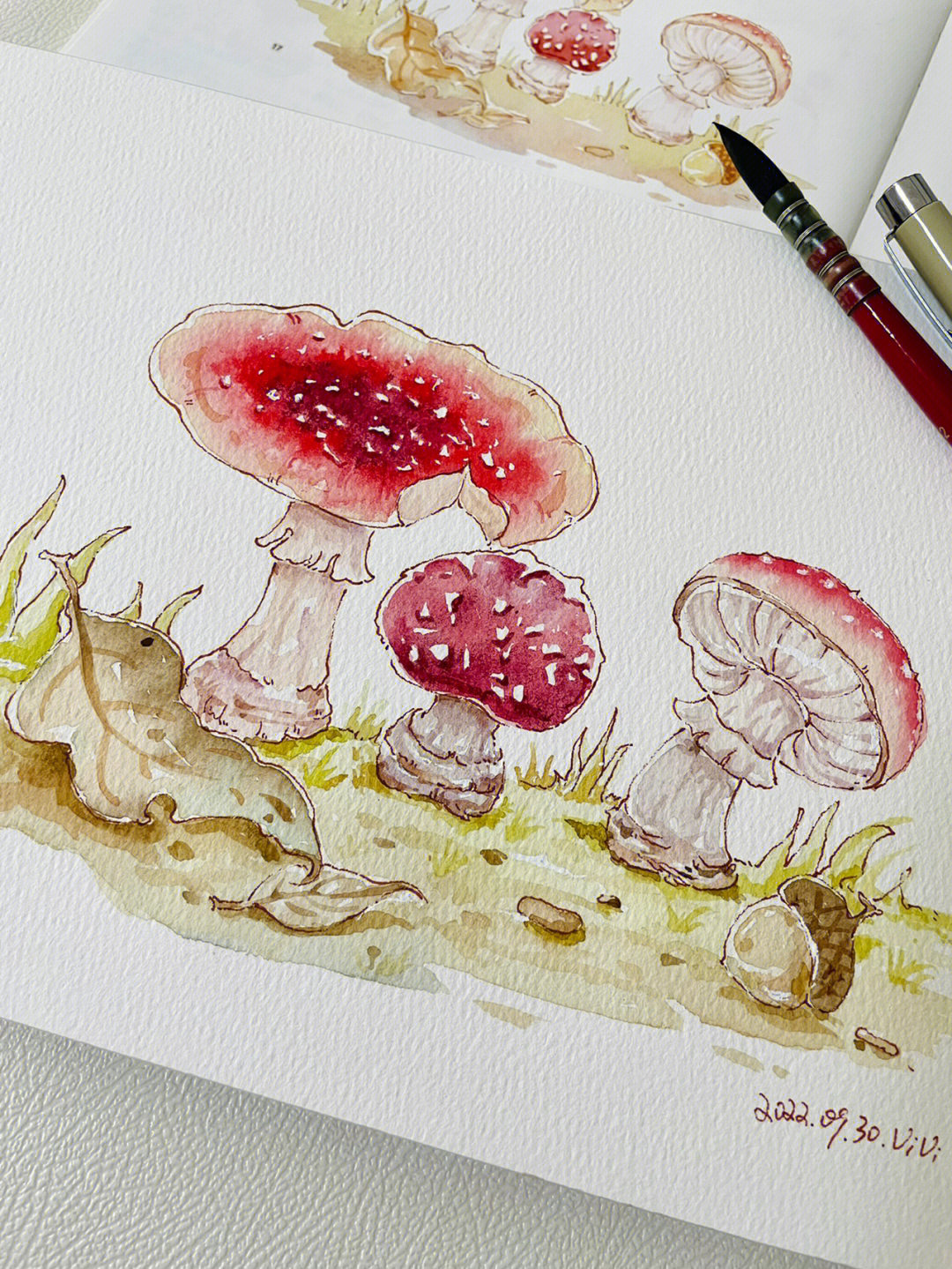 钢笔淡彩漂亮的蘑菇附线稿及过程