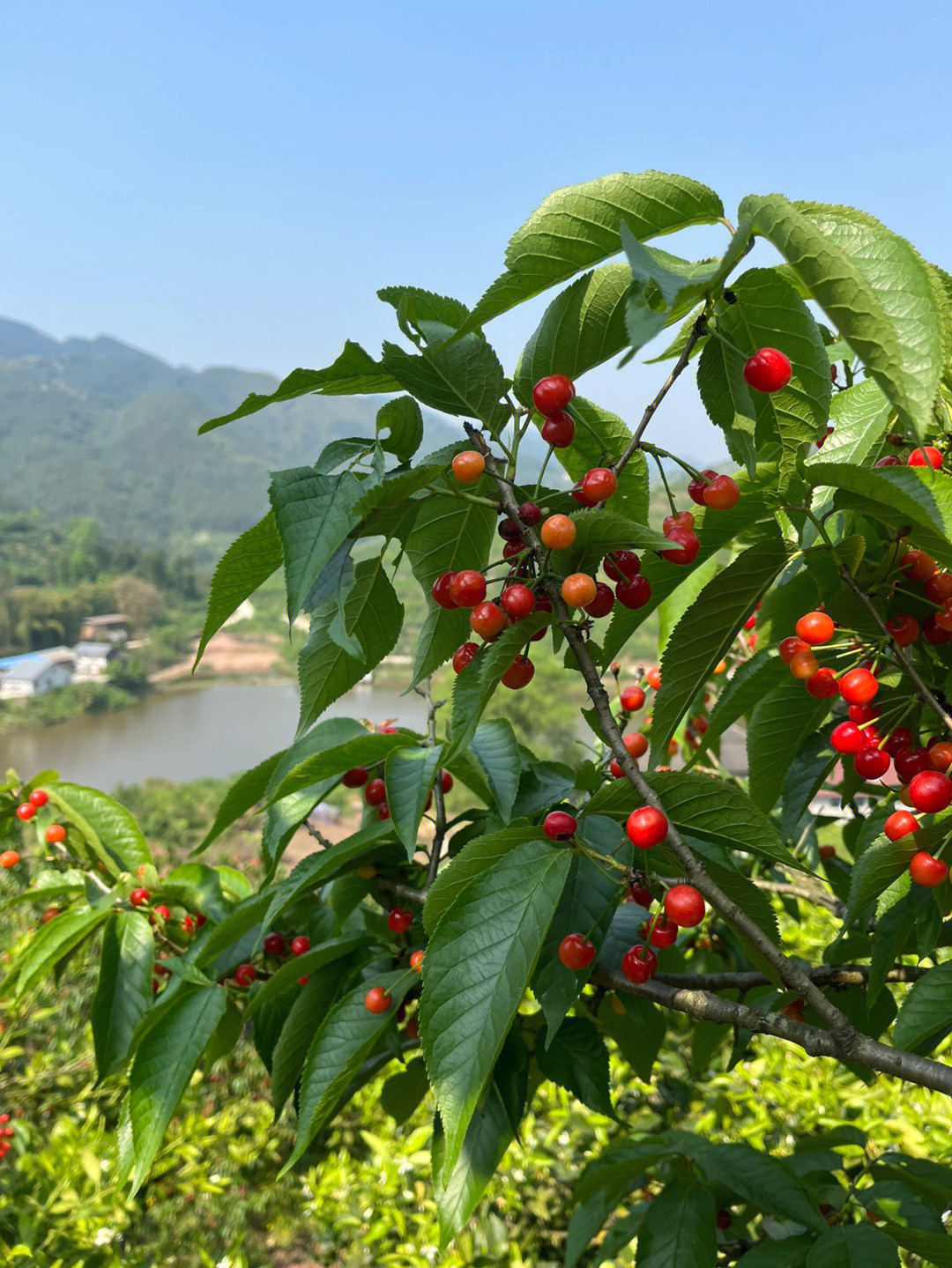 重庆壁山风景点攻略图片