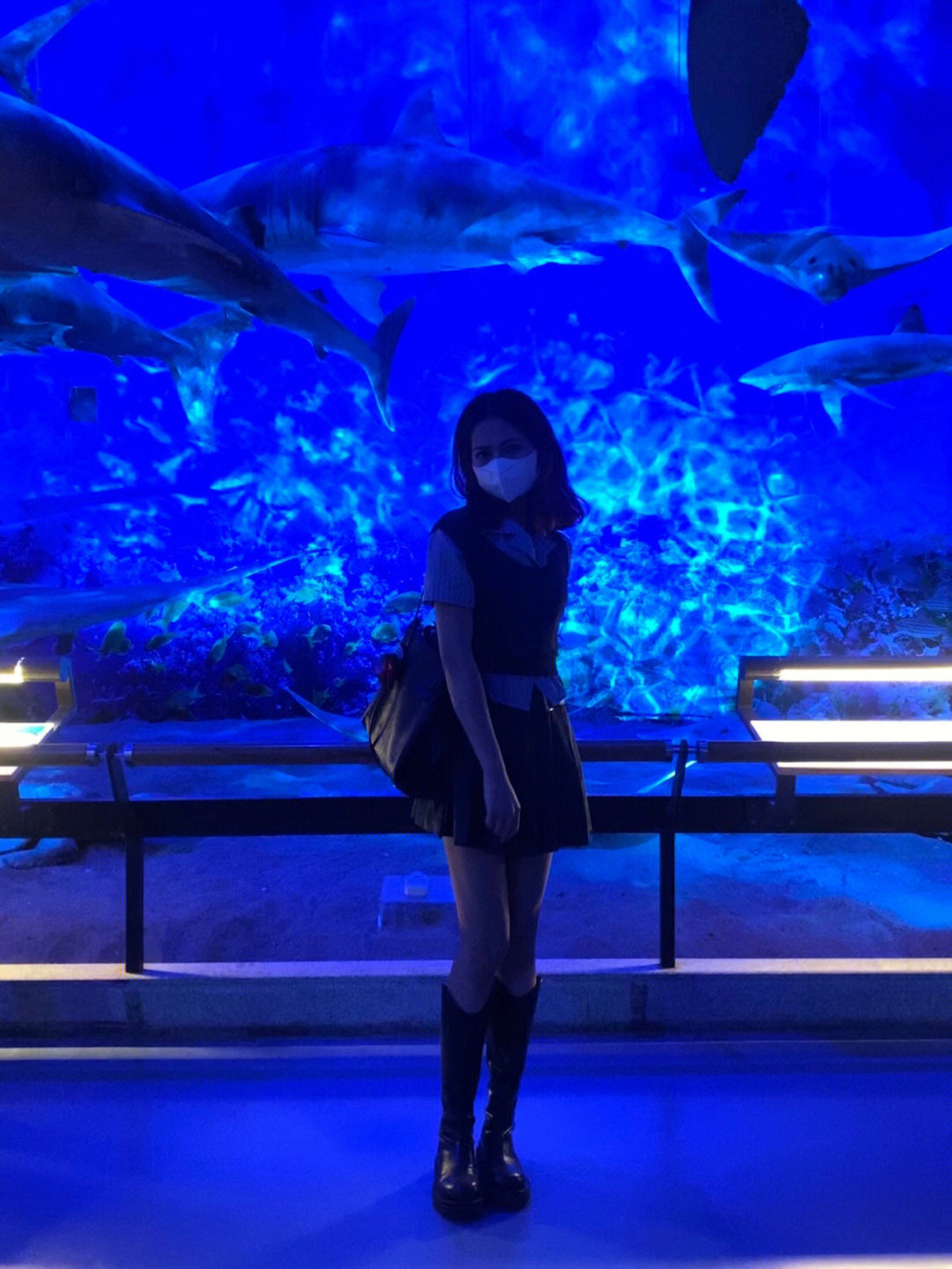 blue深海蓝鲸氛围感