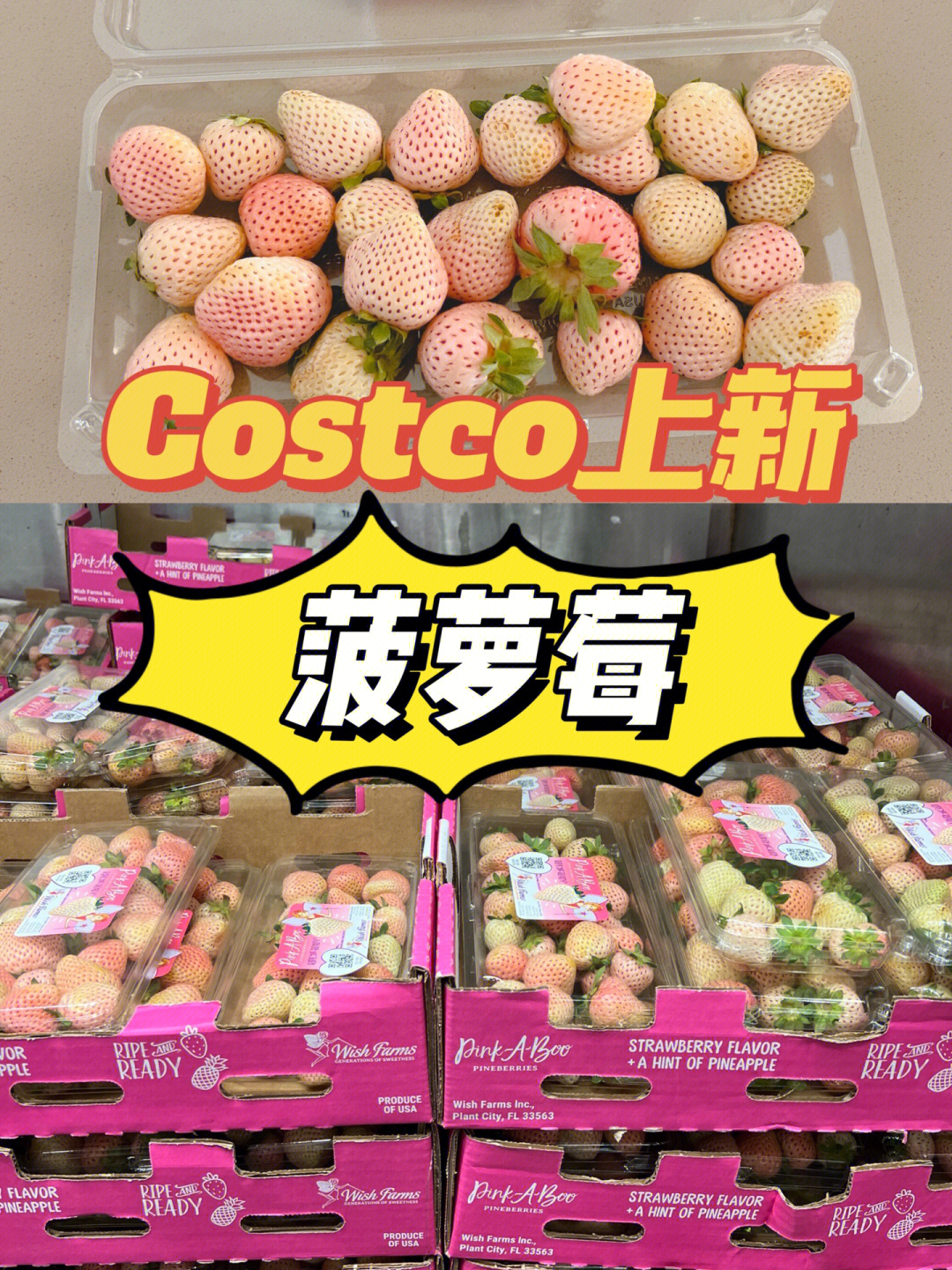 costco上新白草莓菠萝莓傻傻分不清