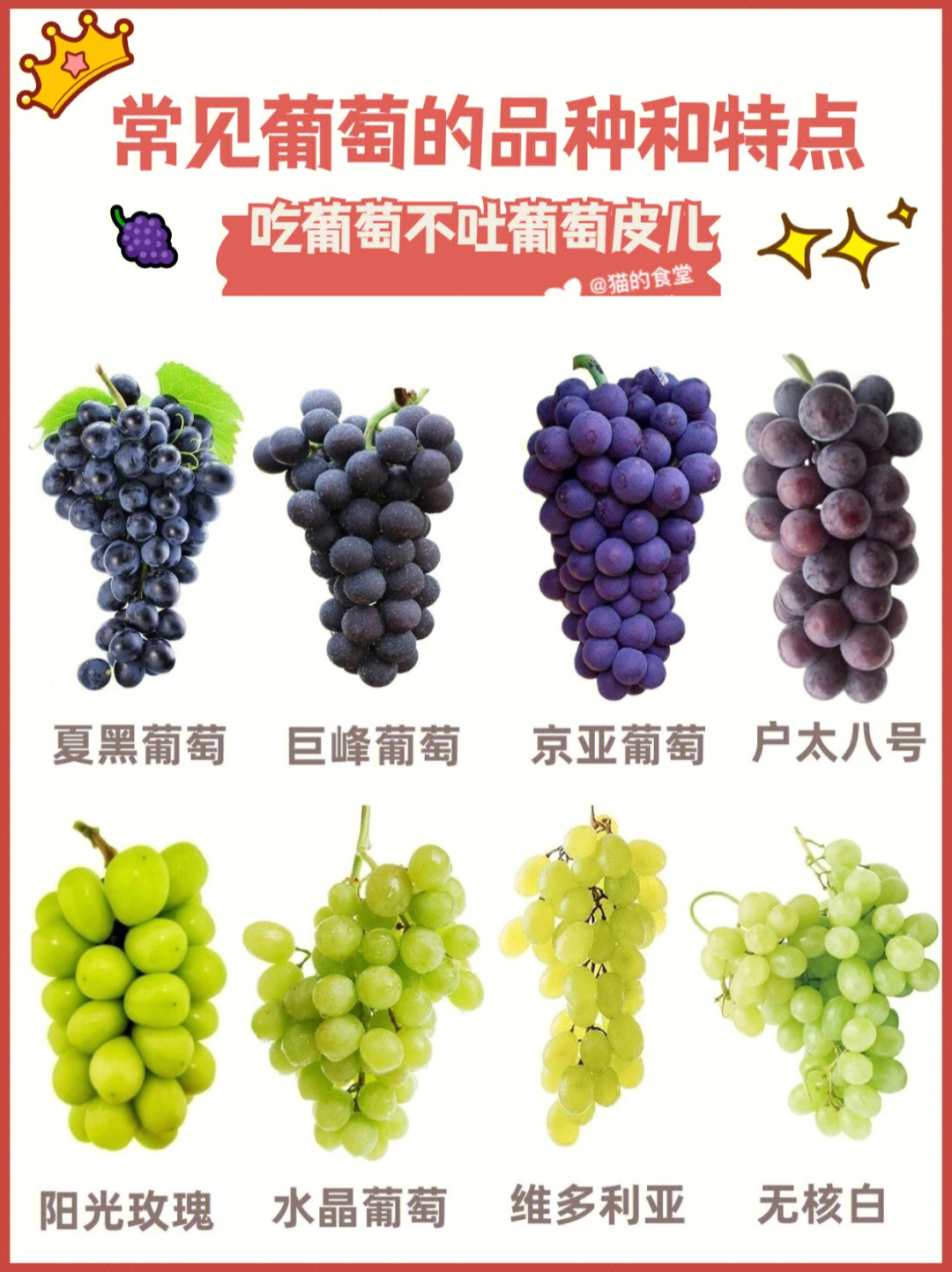 葡萄品种有哪些品名图片