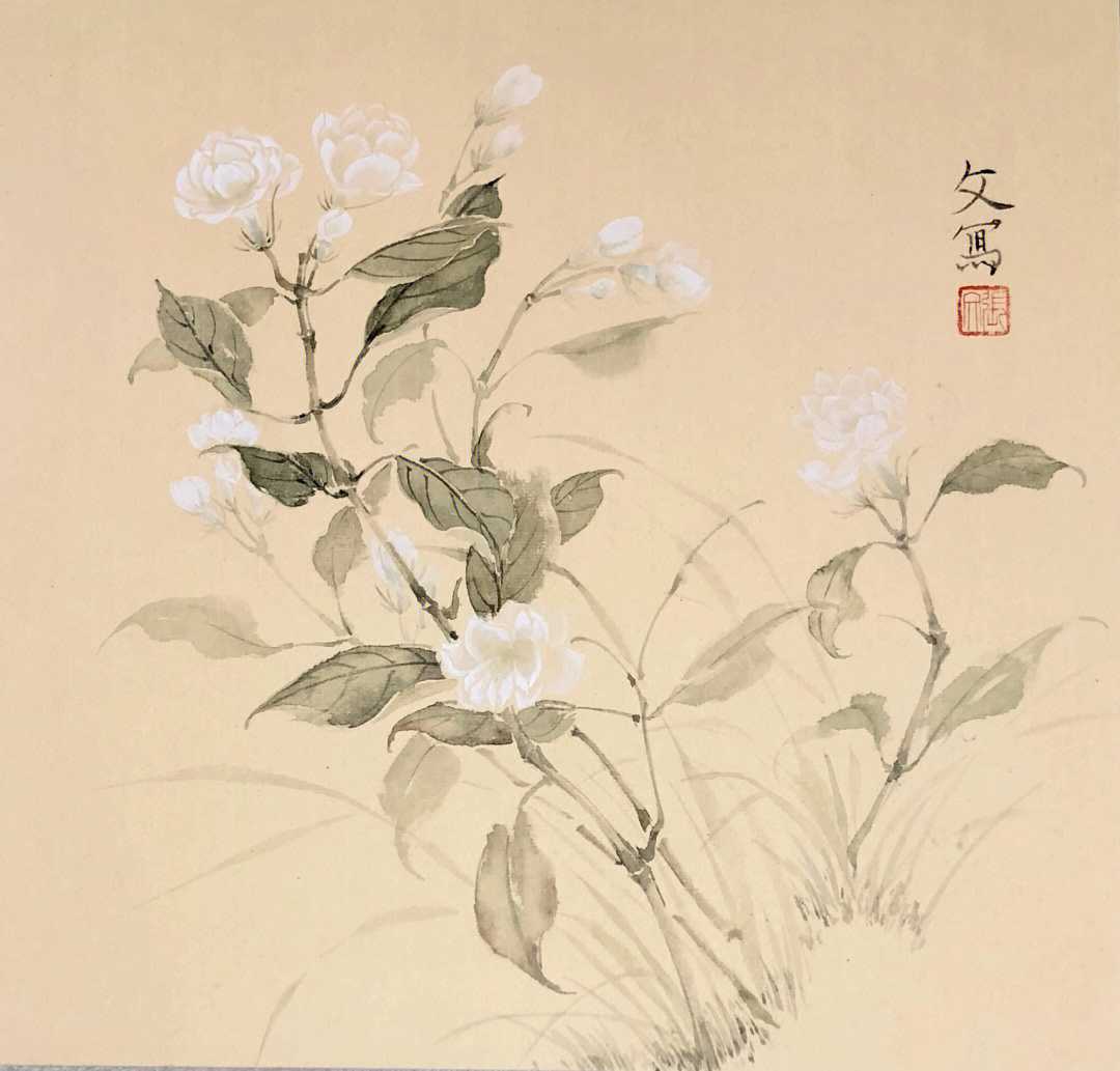 夏花犹清,茉莉花#月升漫步#月升绘馆#没骨画