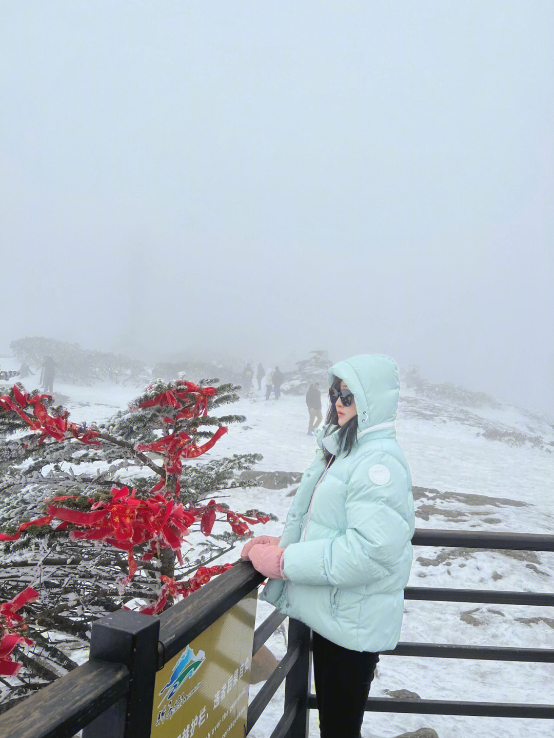 轿子雪山机场图片