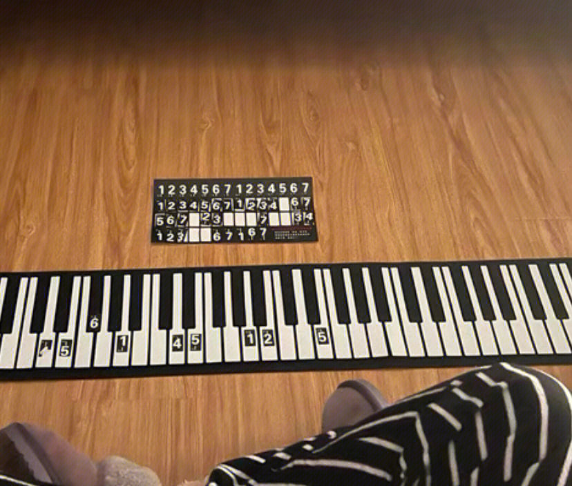 手卷琴49键盘图解图片