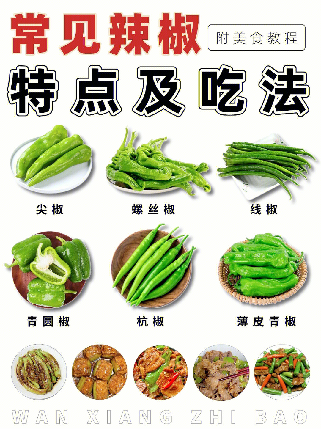 常见青椒09的特点及吃法78附辣椒美食教程