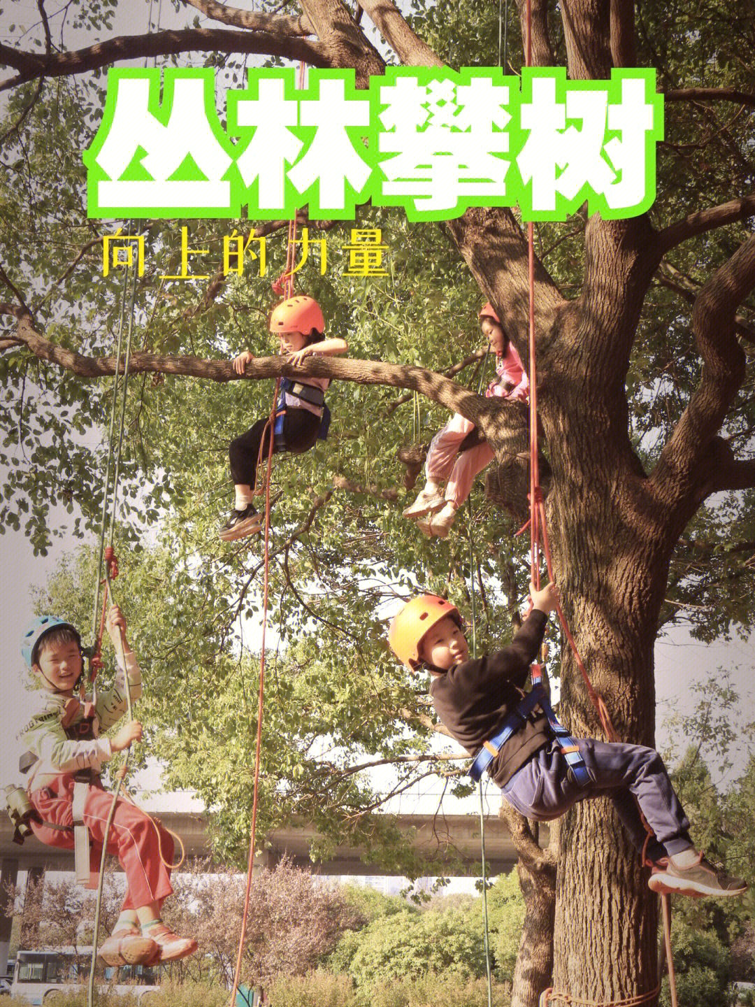 攀树运动是利用绳索系统进行的攀树活动,它与徒手爬树摘果子,掏鸟窝等