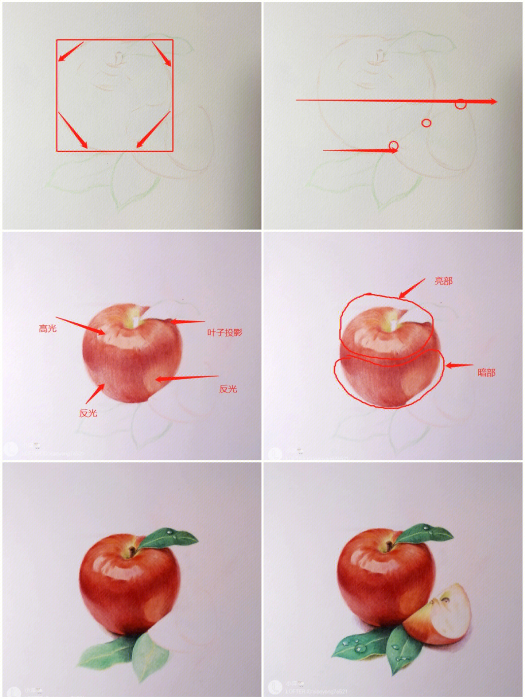 苹果的画法步骤图片