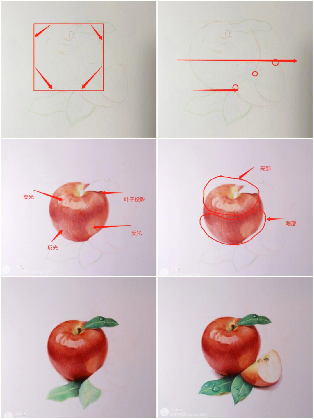 彩铅苹果画法附步骤图