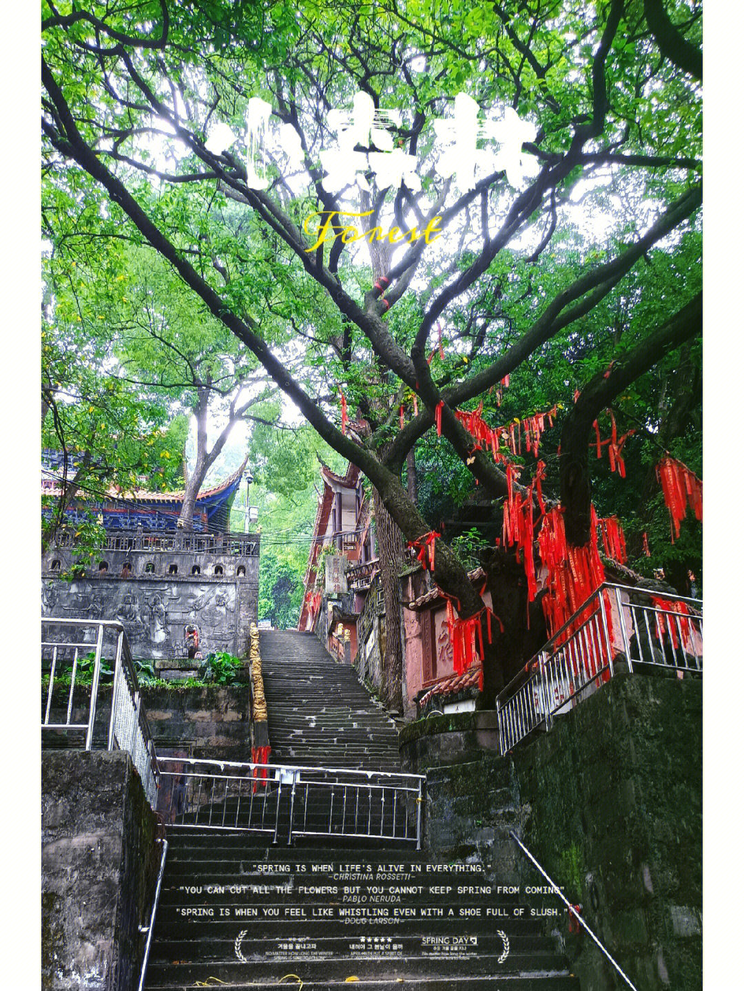 宜宾游翠屏山