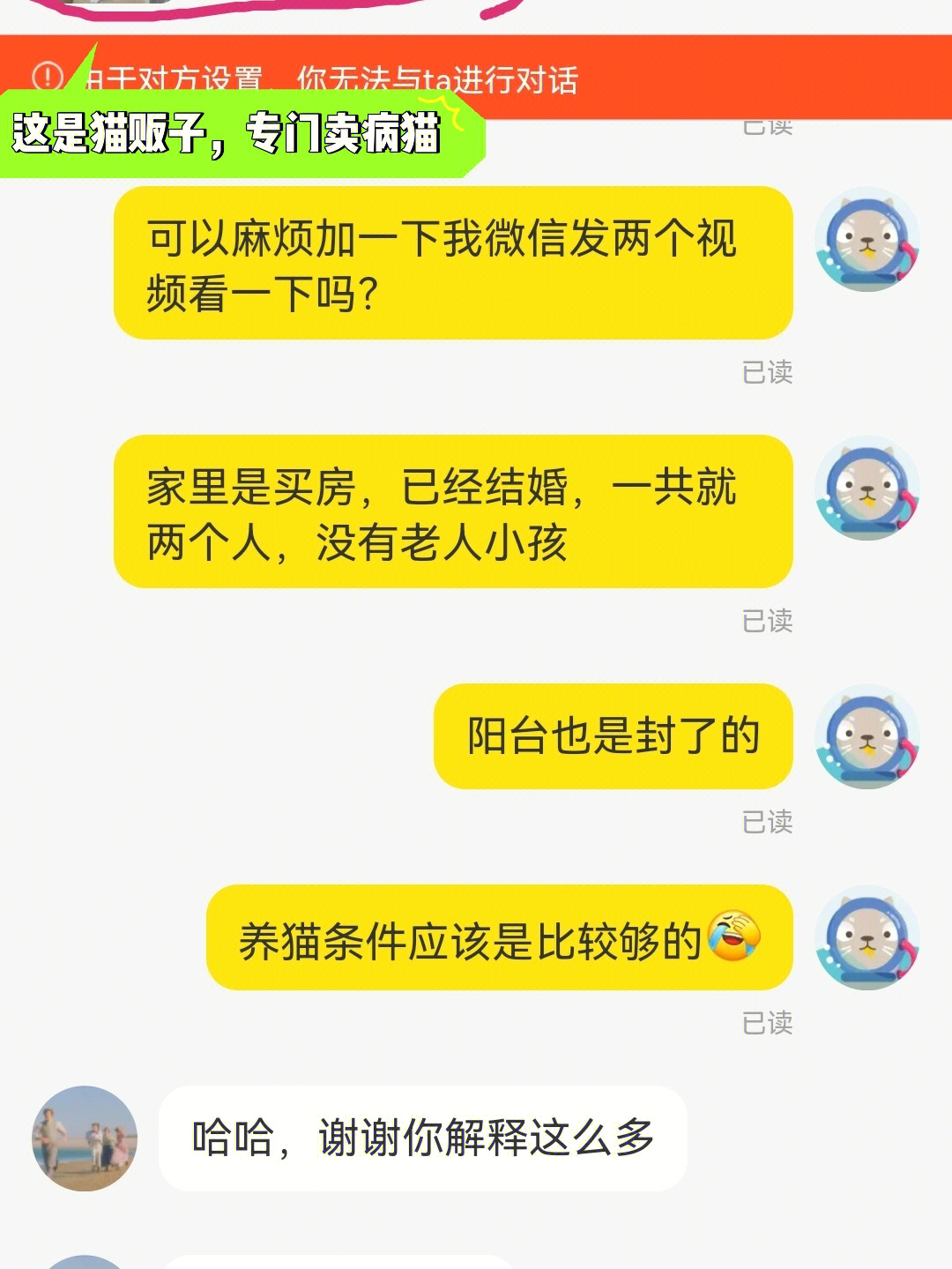 沈阳猫贩子图片