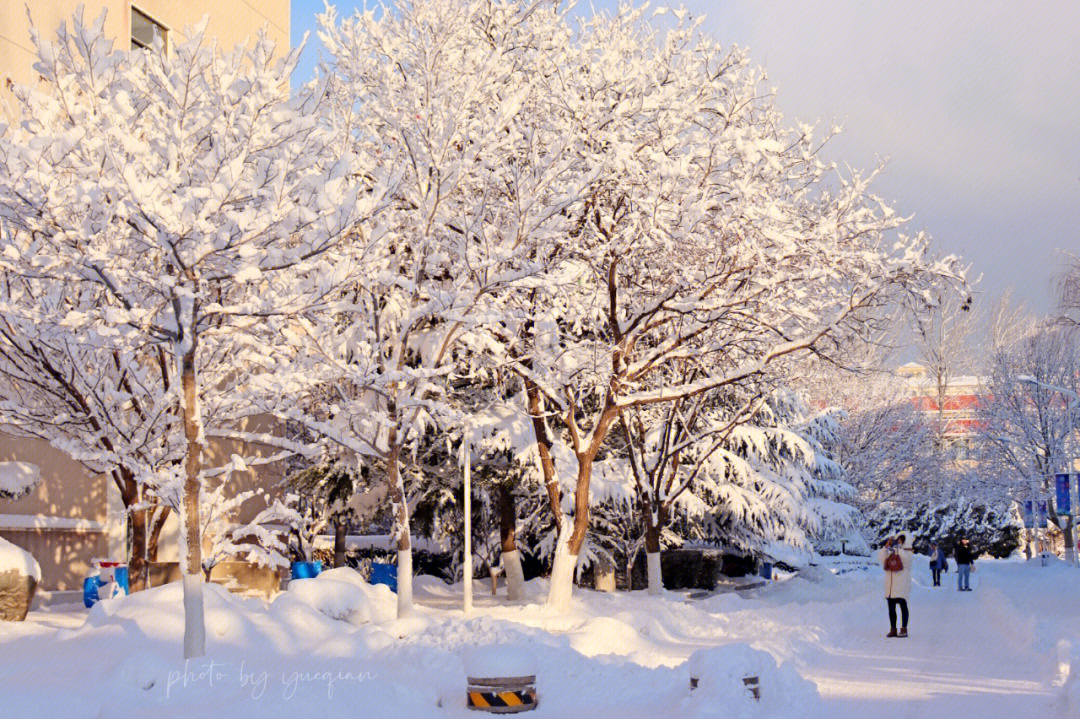 烟台大学雪景图片