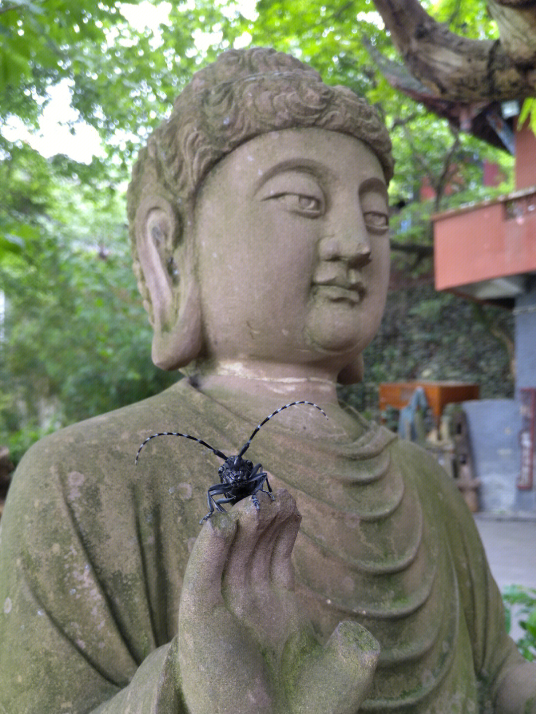 揭阳大圣佛祖图片