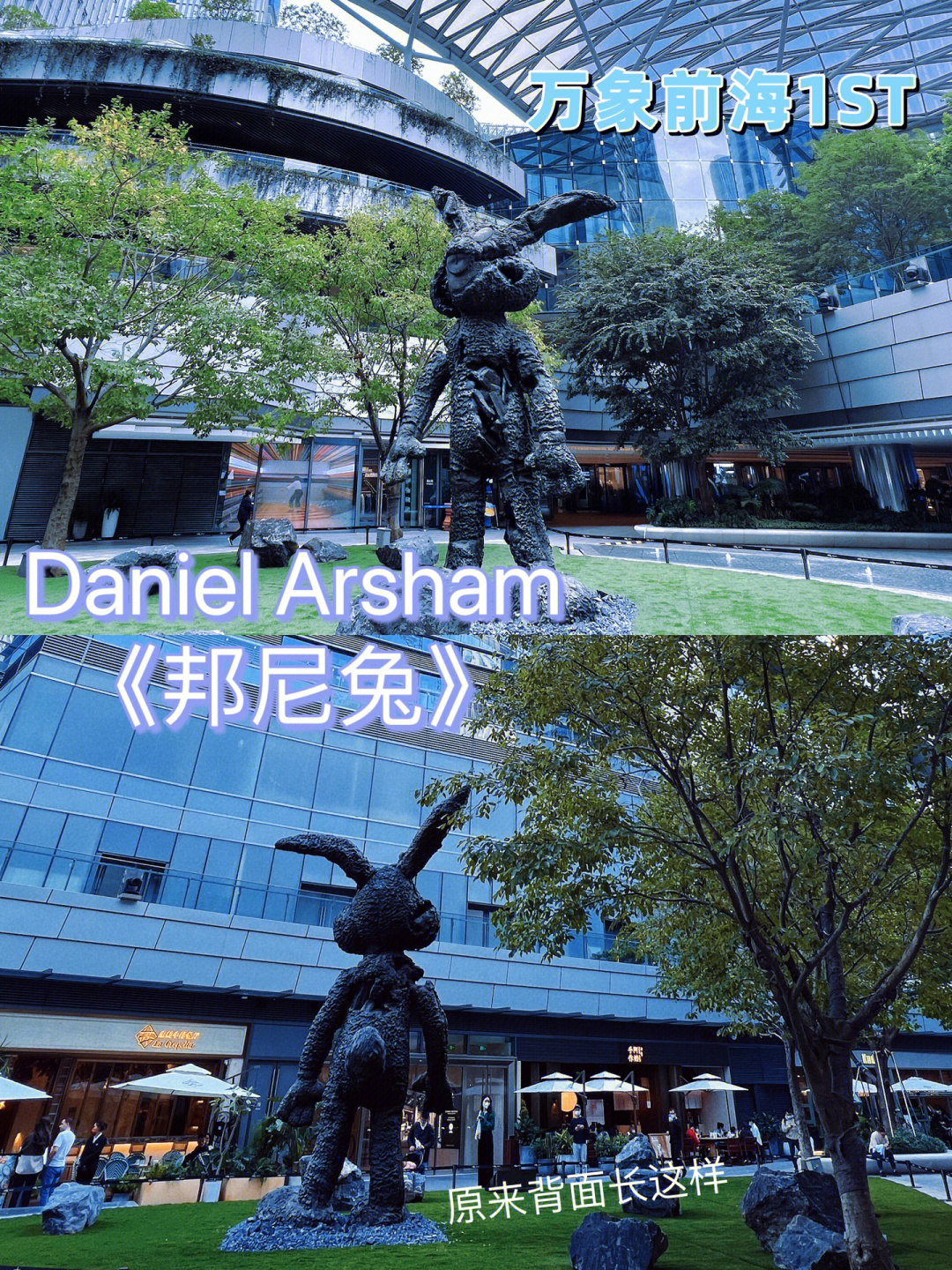 danielarsham优衣库图片